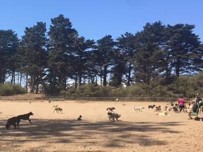 Golden Gate Paws Park photo 1